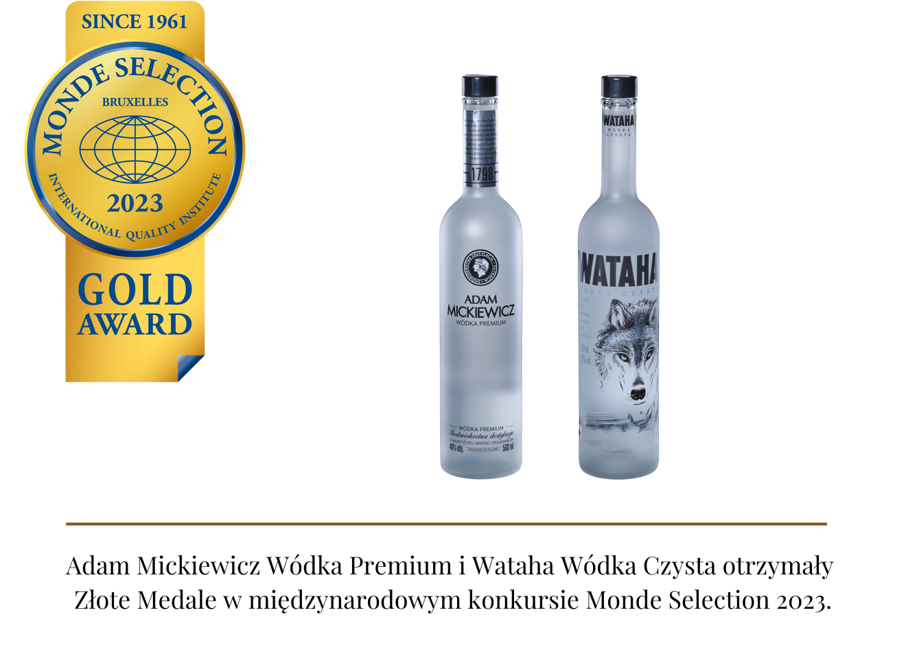 Strona Główna